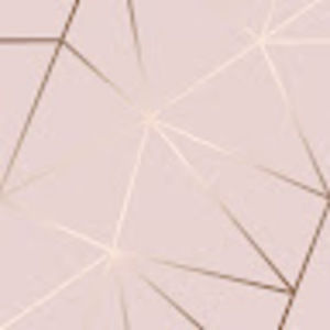 Meet your Posher, Allie